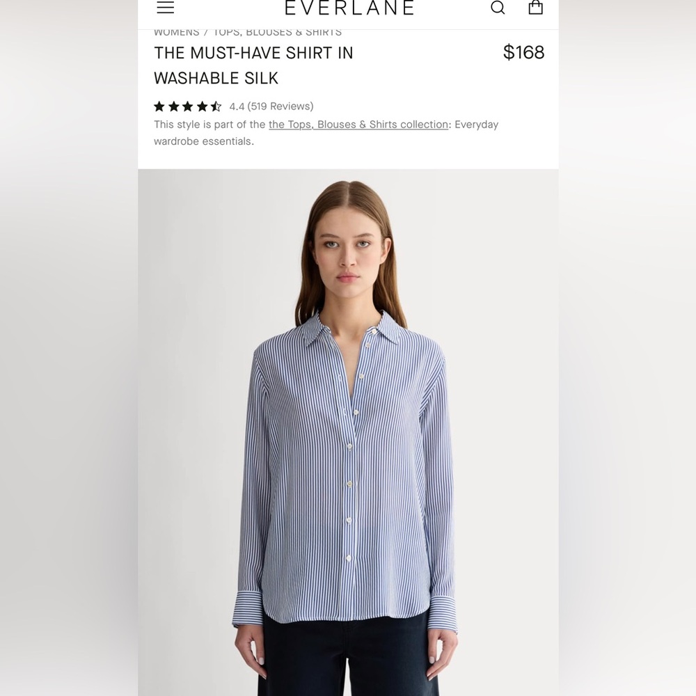 Everlane The Must-Have Shirt in Washable Silk | Size 6